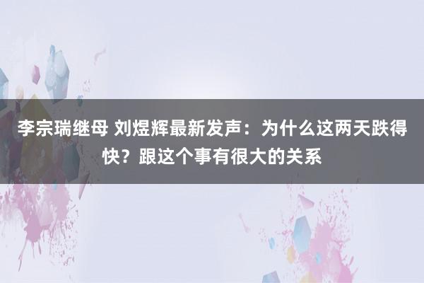 李宗瑞继母 刘煜辉最新发声：为什么这两天跌得快？跟这个事有很大的关系