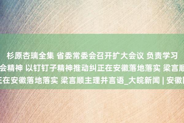 杉原杏璃全集 省委常委会召开扩大会议 负责学习贯彻党的二十届三中全会精神 以钉钉子精神推动纠正在安徽落地落实 梁言顺主理并言语_大皖新闻 | 安徽网