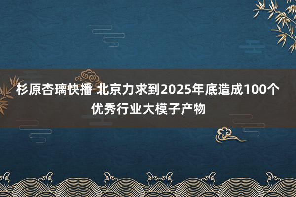 杉原杏璃快播 北京力求到2025年底造成100个优秀行业大模子产物