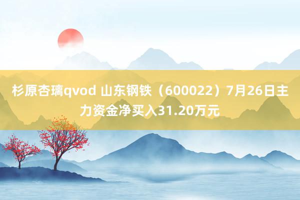 杉原杏璃qvod 山东钢铁（600022）7月26日主力资金净买入31.20万元