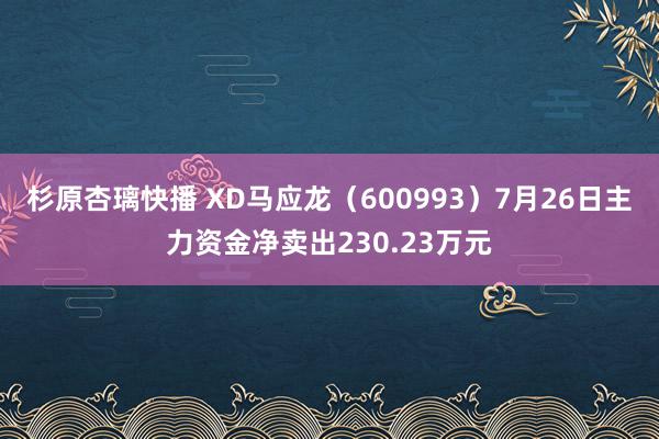 杉原杏璃快播 XD马应龙（600993）7月26日主力资金净卖出230.23万元