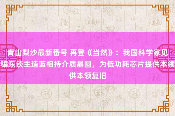 青山梨沙最新番号 再登《当然》：我国科学家见效诱骗东谈主造蓝相持介质晶圆，为低功耗芯片提供本领复旧