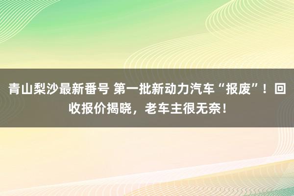 青山梨沙最新番号 第一批新动力汽车“报废”！回收报价揭晓，老车主很无奈！