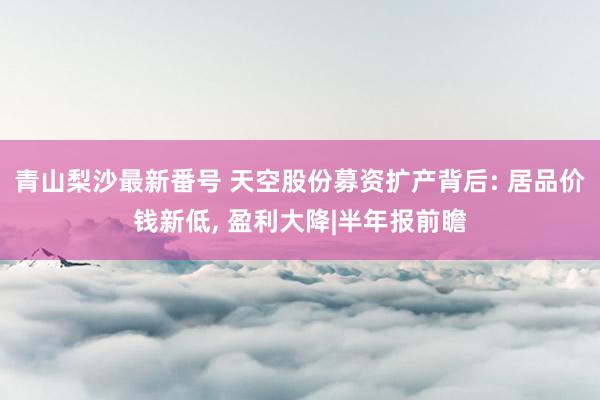 青山梨沙最新番号 天空股份募资扩产背后: 居品价钱新低, 盈利大降|半年报前瞻