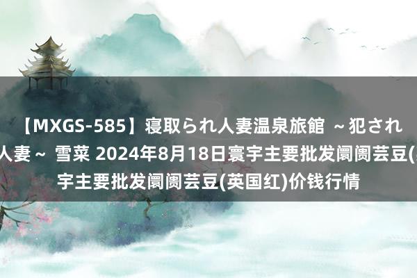 【MXGS-585】寝取られ人妻温泉旅館 ～犯され願望、濡れる美人妻～ 雪菜 2024年8月18日寰宇主要批发阛阓芸豆(英国红)价钱行情