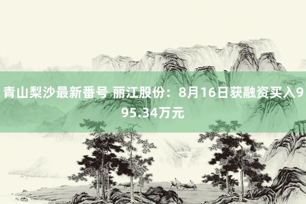 青山梨沙最新番号 丽江股份：8月16日获融资买入995.34万元