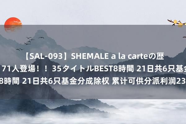 【SAL-093】SHEMALE a la carteの歴史 2008～2011 国内作品171人登場！！35タイトルBEST8時間 21日共6只基金分成除权 累计可供分派利润23.28亿元