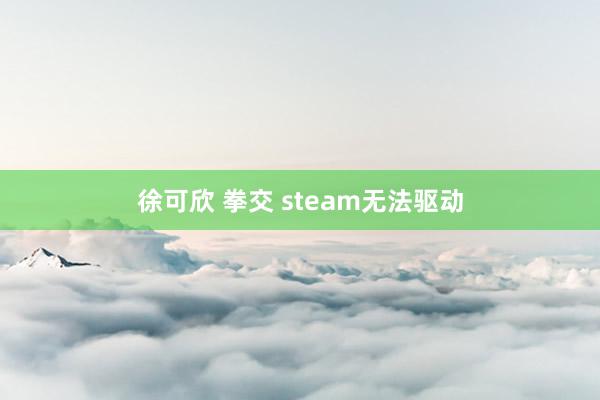 徐可欣 拳交 steam无法驱动