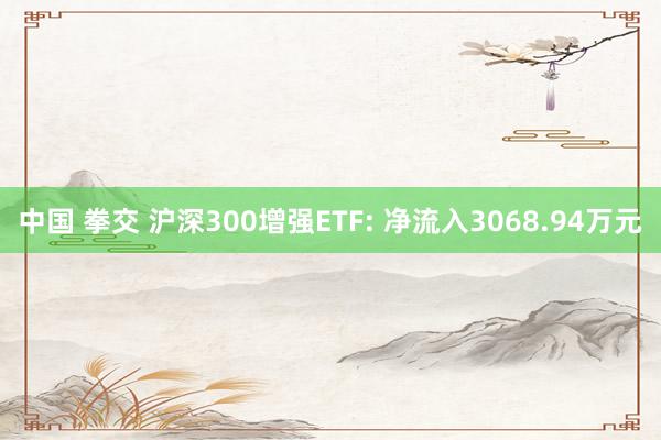 中国 拳交 沪深300增强ETF: 净流入3068.94万元