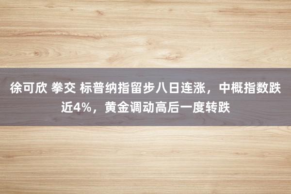 徐可欣 拳交 标普纳指留步八日连涨，中概指数跌近4%，黄金调动高后一度转跌