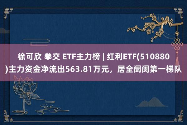 徐可欣 拳交 ETF主力榜 | 红利ETF(510880)主力资金净流出563.81万元，居全阛阓第一梯队