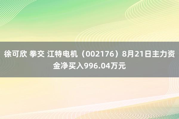 徐可欣 拳交 江特电机（002176）8月21日主力资金净买入996.04万元